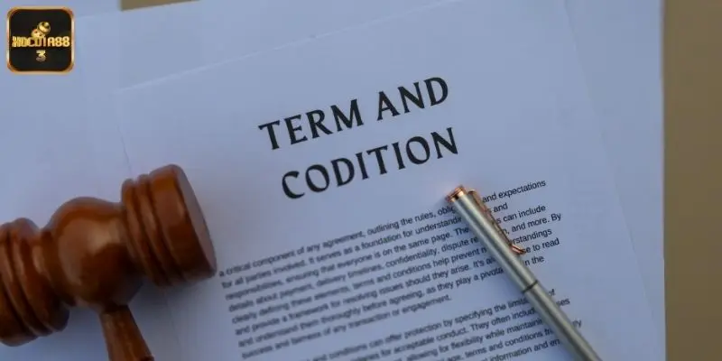 Vai trò quan trọng của điều khoản điều kiện Xocdia88